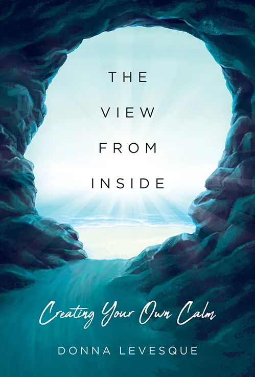 The View from Inside book cover
